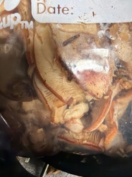 Photo submitted for the Lobster Mushroom identification